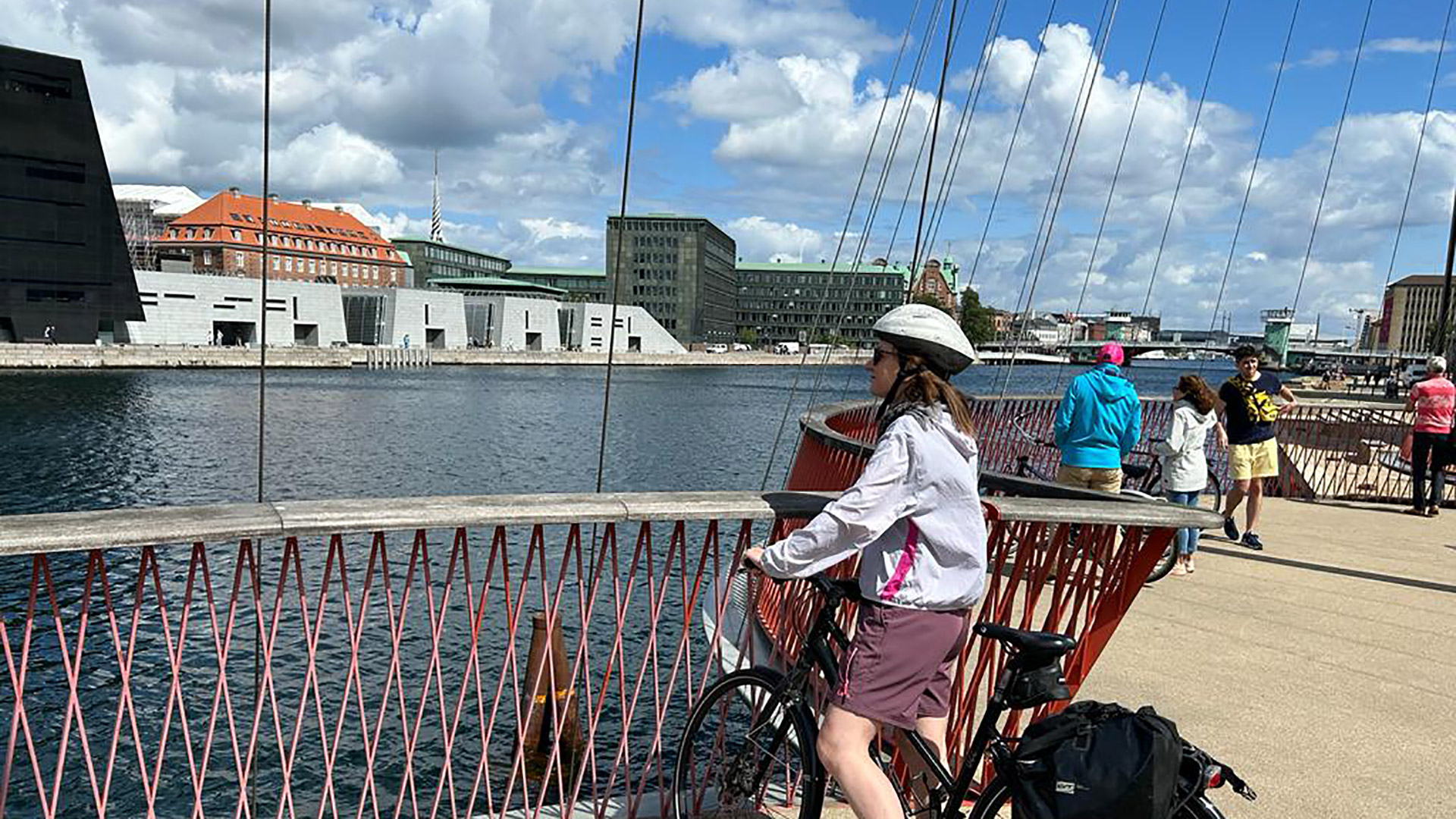 Copenaghen in bici